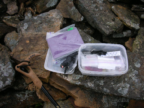 Travel Bugs from Nine Standards Geocache